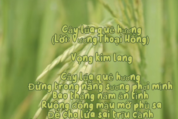 Cây lúa quê hương - Vọng Kim Lang (Lời: Vương Thoại Hồng)